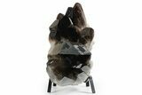 Dark Smoky Quartz Crystal Cluster on Metal Stand - Brazil #349478-1